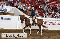 11buck_4337 proof