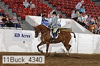 11buck_4340 proof