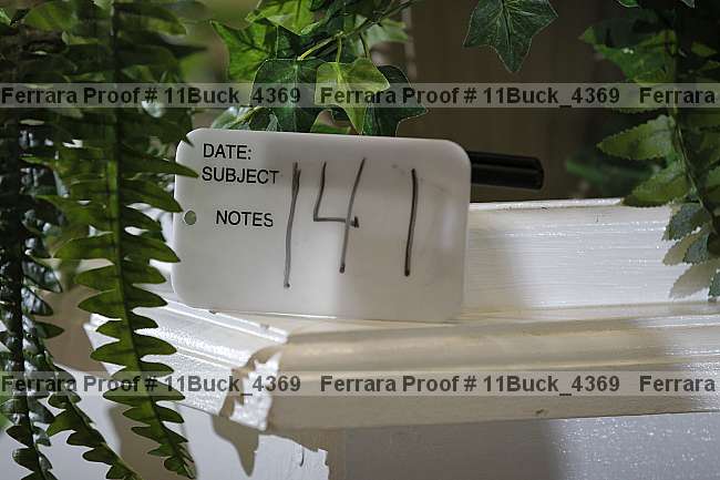 Proof 11buck_4369
