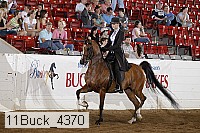 11buck_4370 proof
