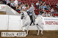 11buck_4373 proof