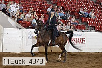 11buck_4378 proof