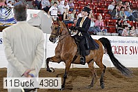 11buck_4380 proof