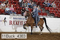 11buck_4383 proof