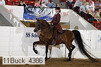 11buck_4386 proof