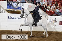 11buck_4388 proof