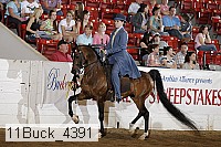11buck_4391 proof
