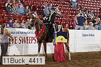 11buck_4411 proof