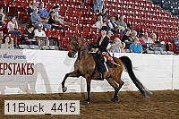 11buck_4415 proof