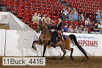 11buck_4416 proof