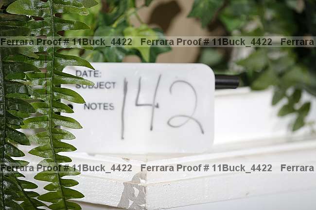 Proof 11buck_4422