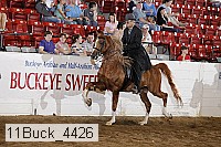 11buck_4426 proof