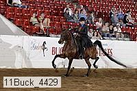 11buck_4429 proof