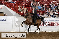 11buck_4436 proof