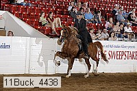 11buck_4438 proof