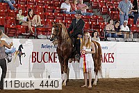 11buck_4440 proof