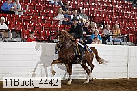 11buck_4442 proof