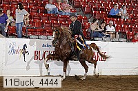 11buck_4444 proof
