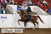 11buck_4445 proof