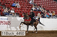 11buck_4450 proof