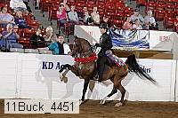 11buck_4451 proof
