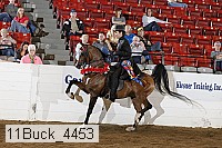 11buck_4453 proof
