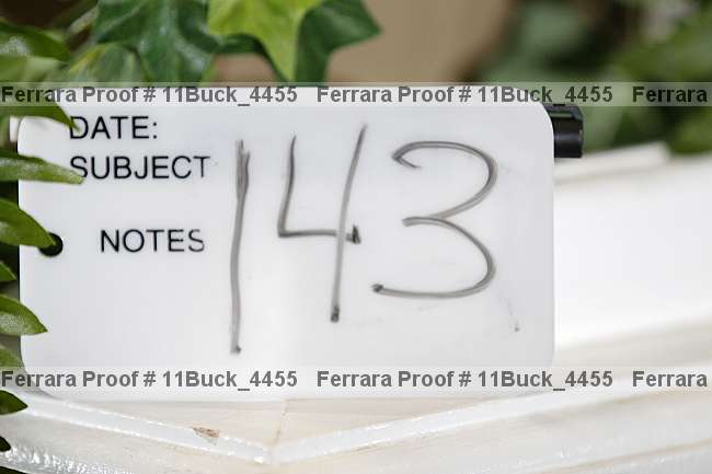 Proof 11buck_4455