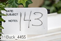 11buck_4455 proof