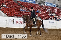 11buck_4456 proof