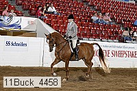 11buck_4458 proof