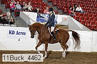 11buck_4462 proof
