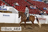 11buck_4464 proof