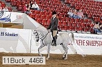 11buck_4466 proof