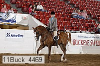 11buck_4469 proof