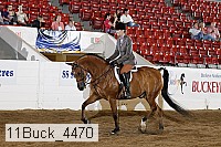 11buck_4470 proof