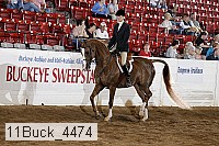 11buck_4474 proof