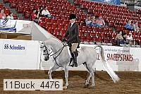 11buck_4476 proof