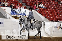 11buck_4477 proof