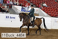 11buck_4484 proof