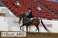 11buck_4492 proof