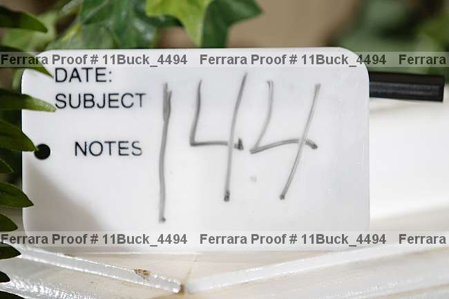 Proof 11buck_4494