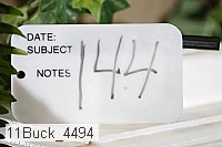 11buck_4494 proof