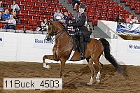 11buck_4503 proof