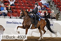 11buck_4509 proof
