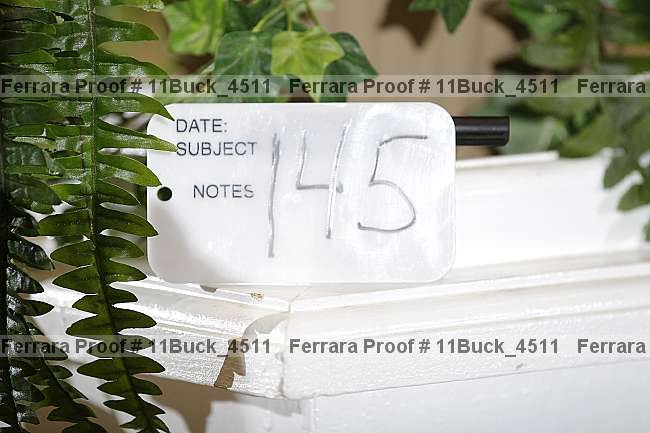 Proof 11buck_4511