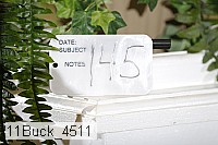 11buck_4511 proof