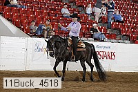 11buck_4518 proof