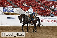 11buck_4523 proof