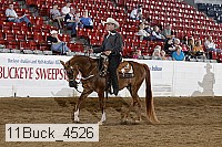 11buck_4526 proof
