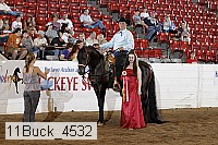 11buck_4532 proof